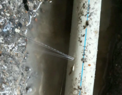 建瓯测漏水哪家好