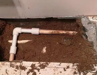 建瓯测漏水哪家好