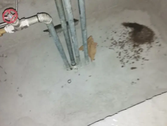 建瓯卫生间测漏水价格明细