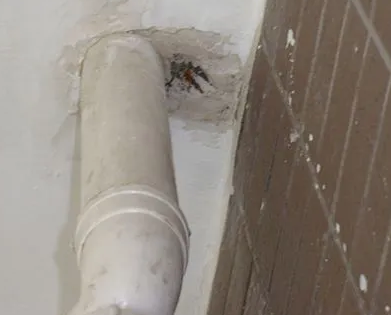 建瓯漏水检测哪家好